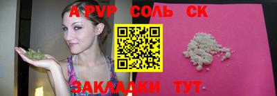 бошки Кингисепп