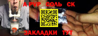 бошки Кингисепп