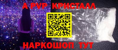 бошки Кингисепп