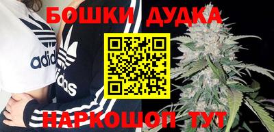 бошки Кингисепп