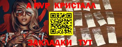 бошки Кингисепп