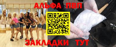 бошки Кингисепп