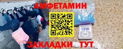 бошки Кингисепп