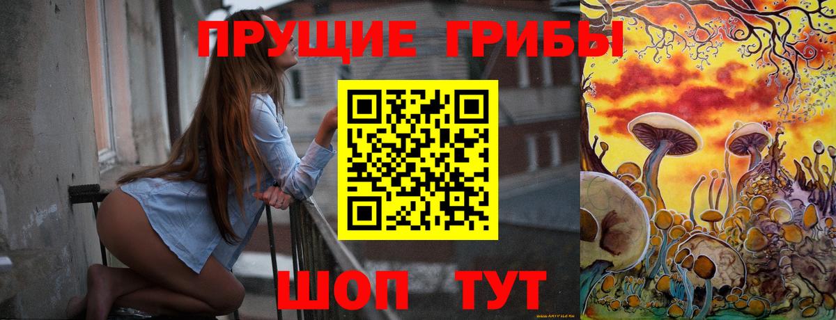 Псилоцибиновые грибы Psilocybe Конаково