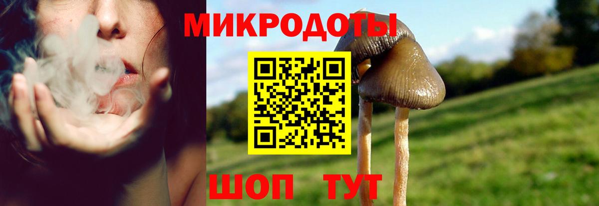 Конаково  Псилоцибиновые грибы MAGIC MUSHROOMS  Псилоцибиновые грибы GOLDEN TEACHER  Вход с VPN 